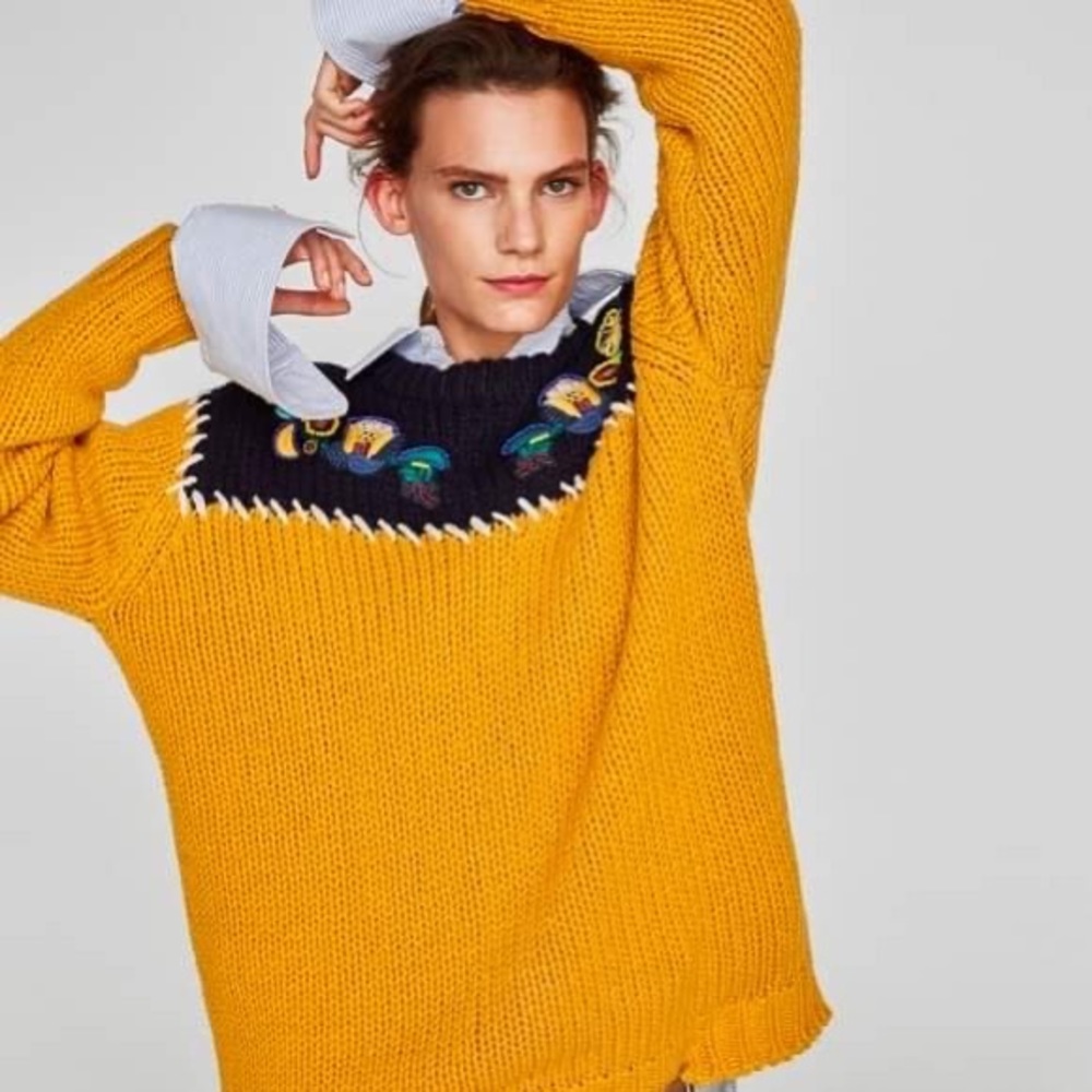zara kint embroidered sweater